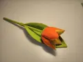 Pomarańczowo-żółty tulipan z zielonym liściem, jak suszyć tulipany, by zachować ich piękno.