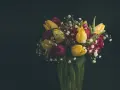 Bukiet żółtych i bordowych tulipanów z gipsówką. Idealny pomysł, z czym łączyć tulipany w bukiecie, by stworzyć wiosenną kompozycję.