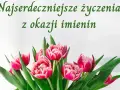 Piękne, różowe tulipany z zielonymi liśćmi. Napis "Najserdeczniejsze życzenia z okazji imienin" idealnie nadaje się na krótkie życzenia imieninowe dla dzieci.