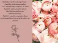 Krótkie życzenia urodzinowe na FB: bukiet róż i wiersz o aniołku.