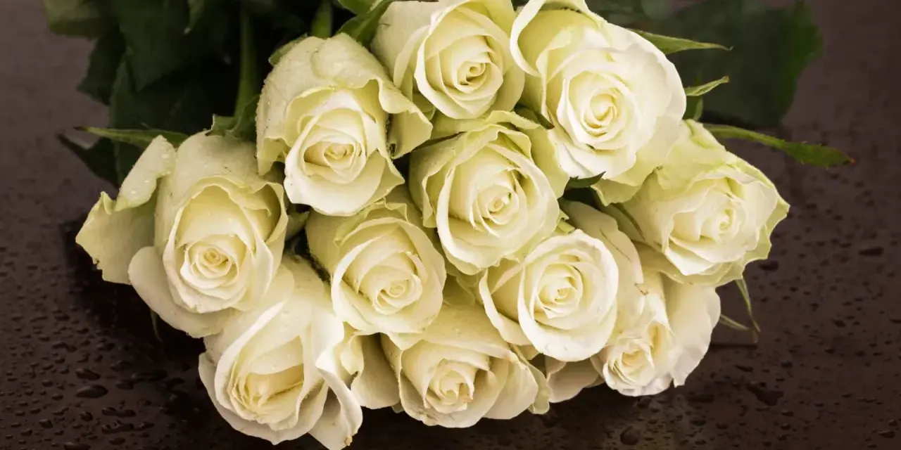 Białe róże, kwiaty symbolizujące miłość, z kroplami rosy na płatkach, ułożone na ciemnym, błyszczącym tle.