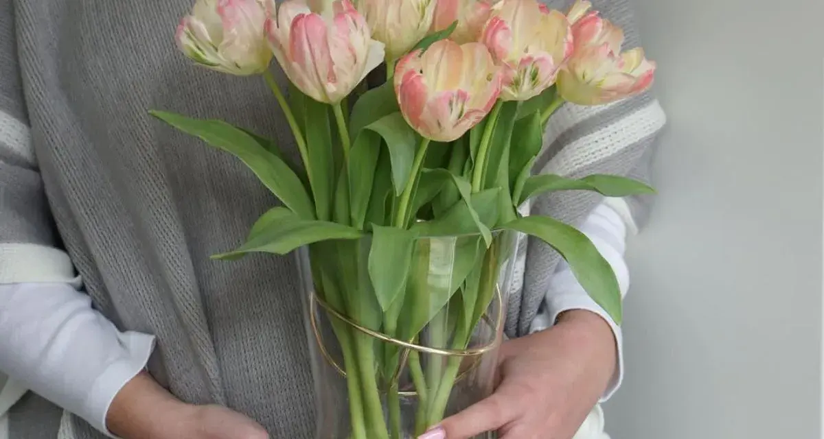 Delikatne, kremowo-różowe kwiaty podobne do tulipanów w szklanym wazonie, trzymane przez osobę w szarym swetrze.