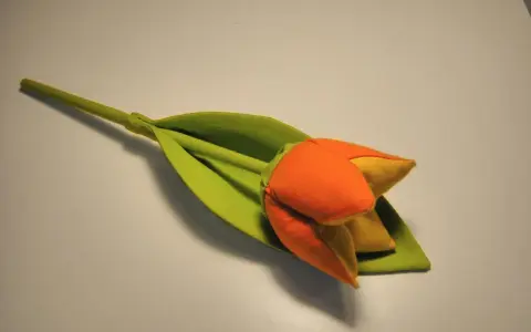 Pomarańczowo-żółty tulipan z zielonym liściem, jak suszyć tulipany, by zachować ich piękno.
