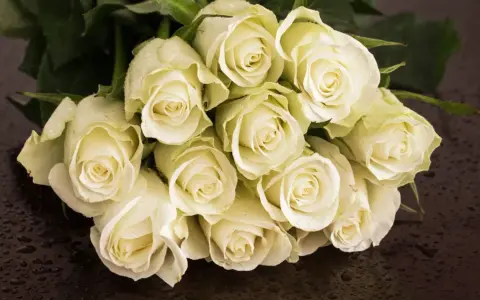 Białe róże, kwiaty symbolizujące miłość, z kroplami rosy na płatkach, ułożone na ciemnym, błyszczącym tle.