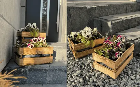 Drewniane skrzynki z kompozycjami kwiatowymi na balkon, ozdabiające wejście do domu.