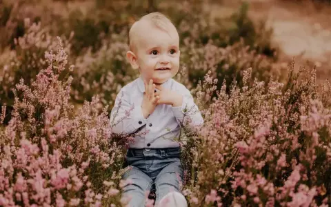 Uroczy chłopiec w jeansach i koszuli siedzi pośród kwitnącej wrzosowej łąki. Idealny motyw przewodni na roczek dla dziewczynki, pełen naturalnego piękna.