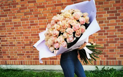 Ogromny bukiet 108 róż w odcieniach różu i brzoskwini, owinięty w fioletowy papier, trzymany przez osobę w dżinsach na tle ceglanej ściany.