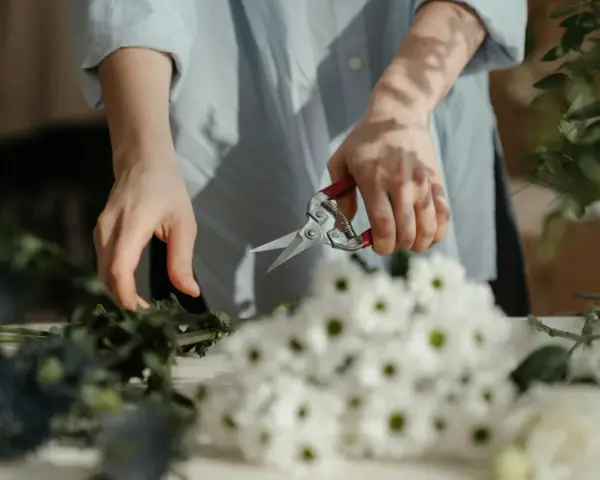 Dzień florysty. Dłonie przycinają zielone gałązki, obok bukiet białych kwiatów.