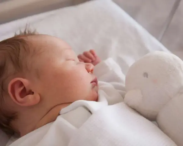 Słodki chłopczyk śpi obok białej przytulanki. Gratulacje z okazji narodzin syna!