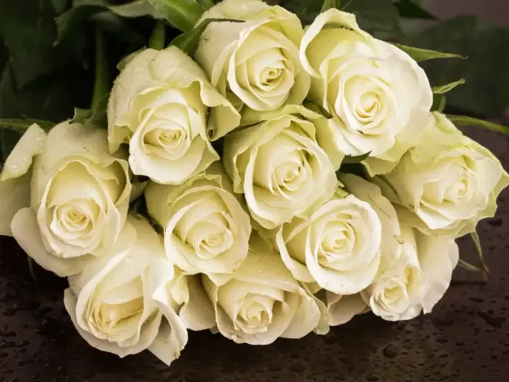 Białe róże, kwiaty symbolizujące miłość, z kroplami rosy na płatkach, ułożone na ciemnym, błyszczącym tle.