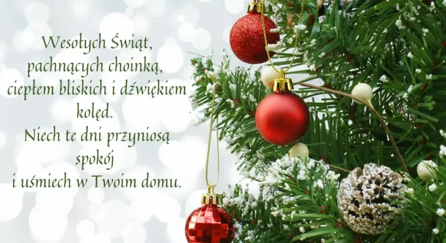 Wesołych Świąt! Piękna choinka, ciepło bliskich i dźwięk kolęd. Niech te dni przyniosą spokój i uśmiech. Idealne życzenia na święta bożego narodzenia sms.