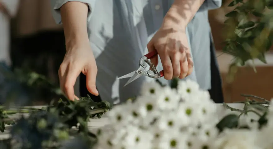 Dzień florysty. Dłonie przycinają zielone gałązki, obok bukiet białych kwiatów.