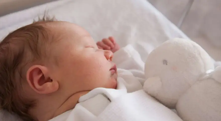 Słodki chłopczyk śpi obok białej przytulanki. Gratulacje z okazji narodzin syna!