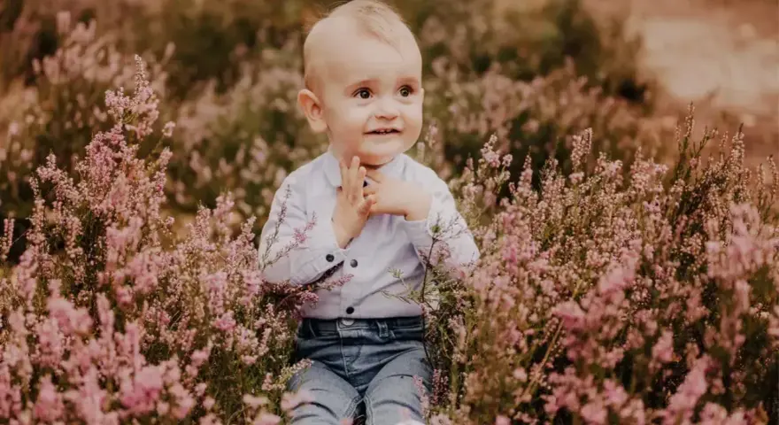 Uroczy chłopiec w jeansach i koszuli siedzi pośród kwitnącej wrzosowej łąki. Idealny motyw przewodni na roczek dla dziewczynki, pełen naturalnego piękna.