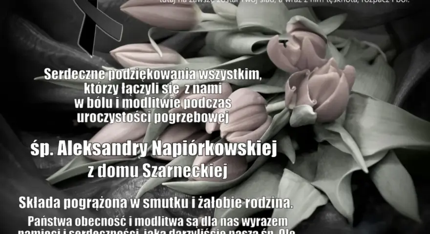 Czarno-białe zdjęcie z różowymi tulipanami i czarną wstęgą. Tekst: podziękowania za obecność na pogrzebie śp. Aleksandry Napiórkowskiej. Wzór zawiadomienia o pogrzebie sms.