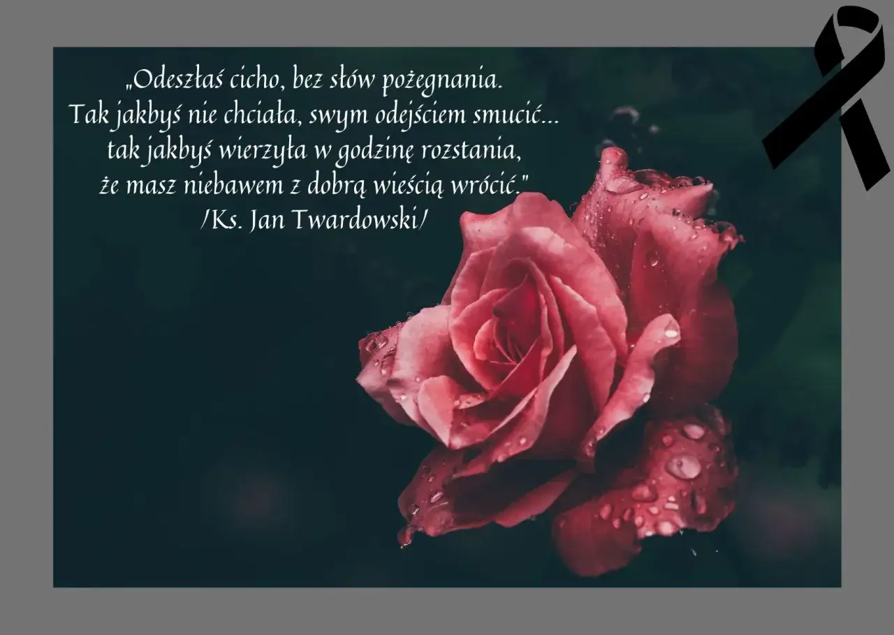 Róża z kroplami rosy, symbol pożegnania. Wiersz Jana Twardowskiego o tym, jak napisać pożegnanie od zmarłego, gdy odchodzi cicho.