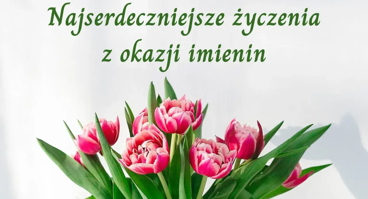 Najserdeczniejsze życzenia z okazji imienin. Bukiet różowych tulipanów na jasnym tle.