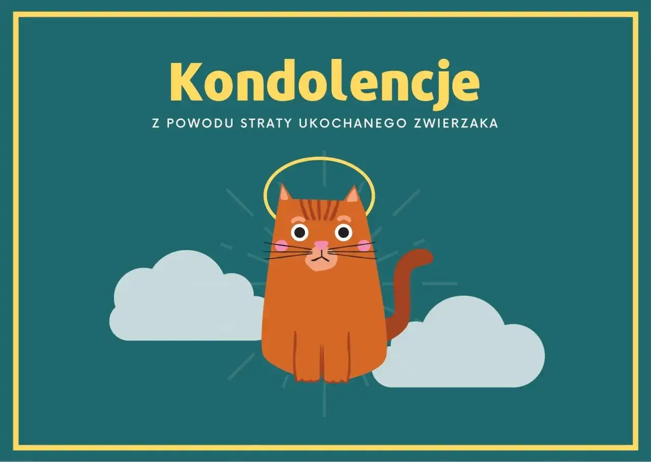 Ilustracja kota z aureolą i chmurkami, symbolizująca kondolencje na odległość z powodu straty ukochanego zwierzaka.